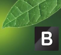 Energieeffizienzklasse B