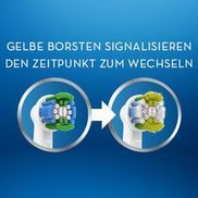 Für die beste Reinigung