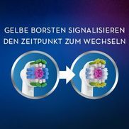 Für die beste Reinigung