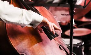 Großartige Bässe mit klarer Akustik