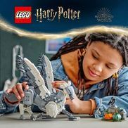 Seidenschnabel™ Set für Harry Potter™ Fans