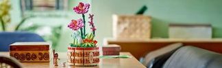 Ein Baugeschenk für Vaiana Fans