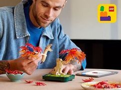 Einfach bauen mit der LEGO® Builder App.