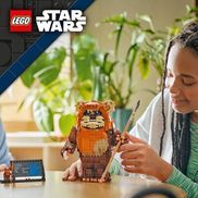Niedlicher Ewok für Star Wars™ Fans