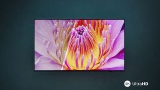 Lebendige Anzeige mit gestochen scharfen Bildern.