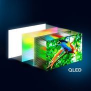Definierte Bildschärfe und Lebendigkeit mit 4K QLE
