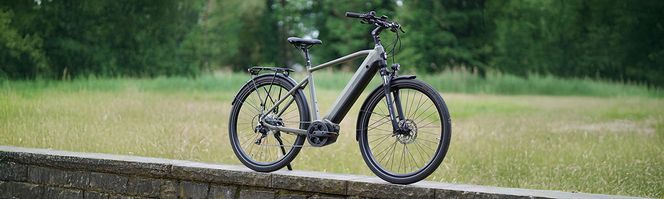 Ihr perfekter Begleiter für Abenteuer: Das Entdecker Trekking E-Bike