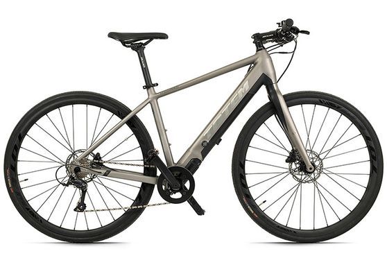 TOTEM Urban E-Bike Fitness 28" HWD Mittelmotor 70NM / 6,4Ah platin