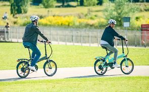 Pflegeleichter Всеskönner