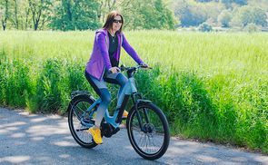 Elektrischer Antrieb