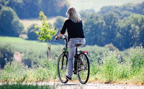 Elektrischer Antrieb