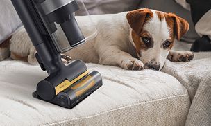 Pet Tool+* Tierhaarbürste