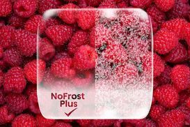 NoFrost Plus
