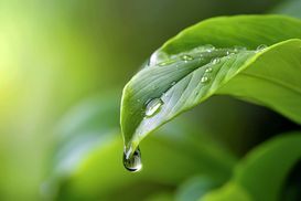 Eco-Modus