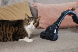 Pet edition