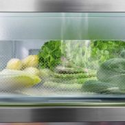 BioFresh Professional