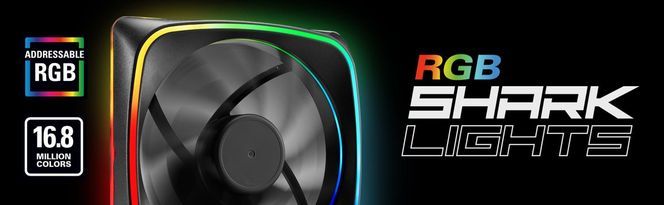 RGB SHARK Lights