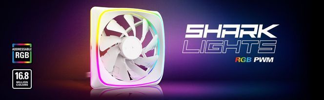 SHARK Lights RGB PWM - White