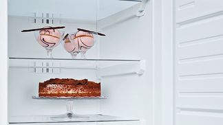 Immer eine geschlossene Kühlschranktür.