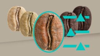 Cold Brew – einzigartiger Geschmack der coolen Art