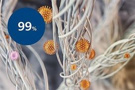 Nanokill Desinfektionstechnologie