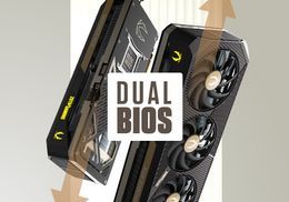 Dual Bios