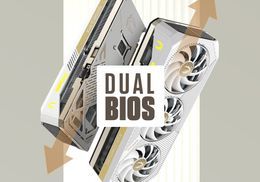 Dual Bios