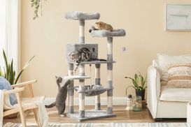 Spielplatz für Katzen