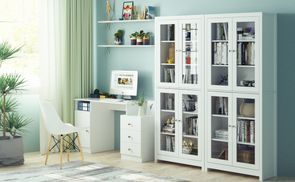 Bücherschrank für Wohn und Arbeitszimmer