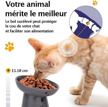Erhöhter Katzennapf