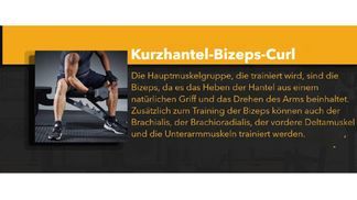 Umfassende Aktivierung der Armmuskulatur