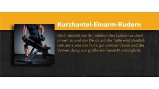 Effizientes Rückentraining mit Rückenschutz