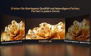  4K Ultra HD & 1080P native Auflösung 