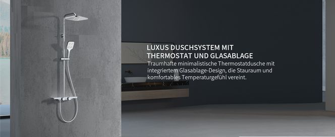 Luxus Duschsystem mit Thermostat & Glasablage