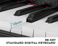 960 Tones & 64 Polyphony