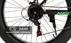 21 Gang Schaltwerk