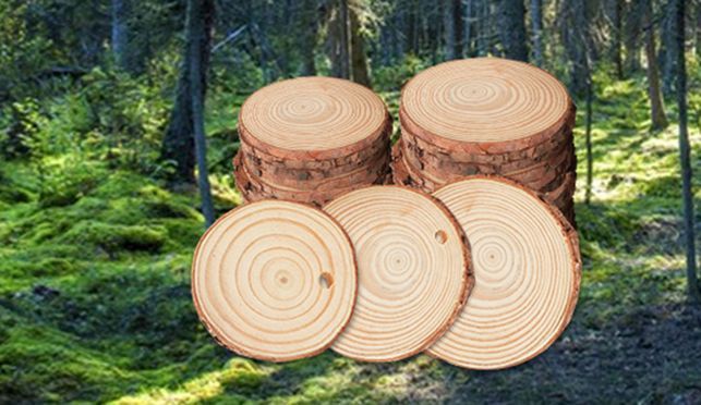 Natürliche Holzscheiben