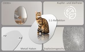 BOROMAL Professionalität