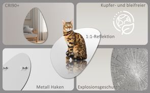 BOROMAL Professionalität