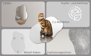 WDWRITTI Professionalität