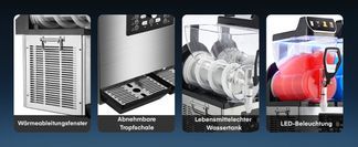 UMSATZMAGNET MIT SHOW EFFEKT