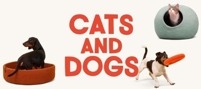 Wohlfühlorte & Spielspaß für Hunde & Katzen – Handgefertigt aus 100 % Schurwolle