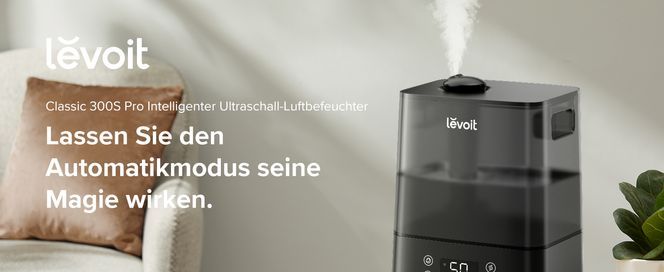 Lass dich von der Magie verzaubern