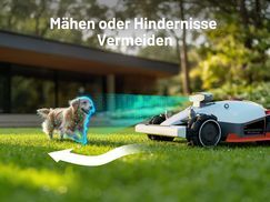 Mähen oder Ausweichen 