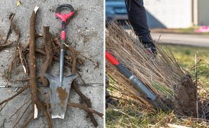 Profi Gartenwerkzeuge Keine unerwünschten Wurzeln mehr!
