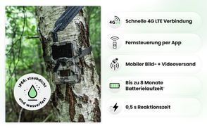 SUPERSCHNELLER BILD UND VIDEOVERSAND