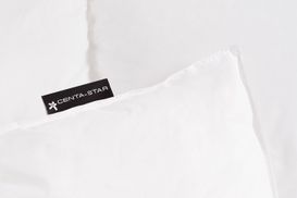 Die patentierte Premium Biese von Centa Star