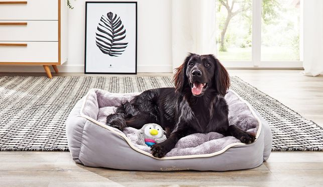 Das Tierbett Sammy