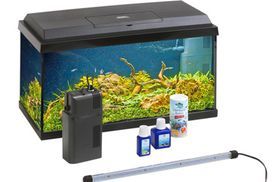 Zubehör für die weltbeste Unterwasserwelt