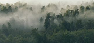 Эко-товары & Umweltfreundlichkeit